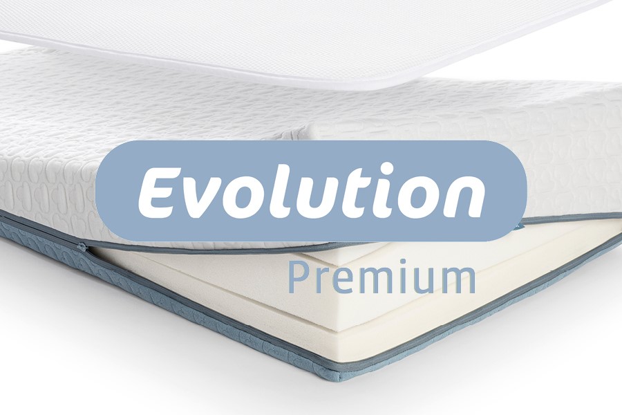 EcolutionPremium.jpg