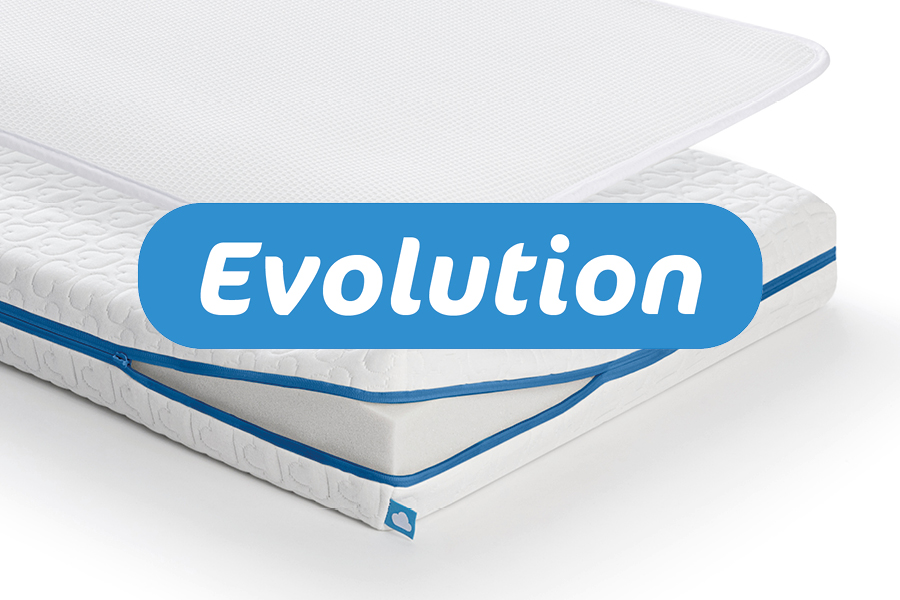 Evolution_Label.jpg