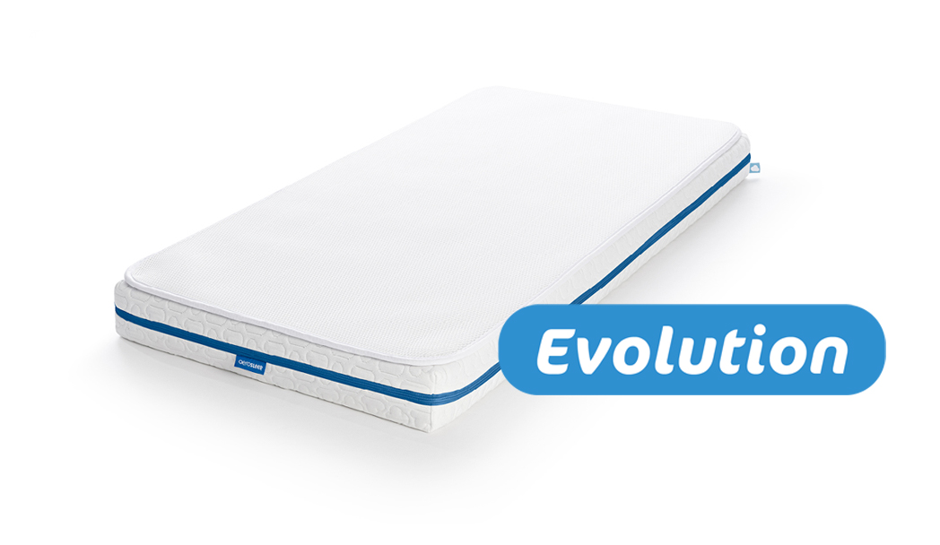Evolution1.jpg